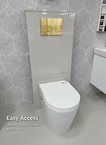 Bidet toilet back to - bidet,