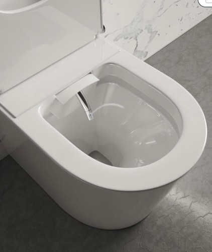 Japanese bidet toilet - bidet,