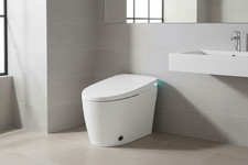 Smart Toilet Bidet Wash Dry