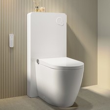 Back to Wall Smart Bidet