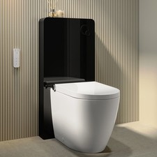 Back to Wall Smart Bidet