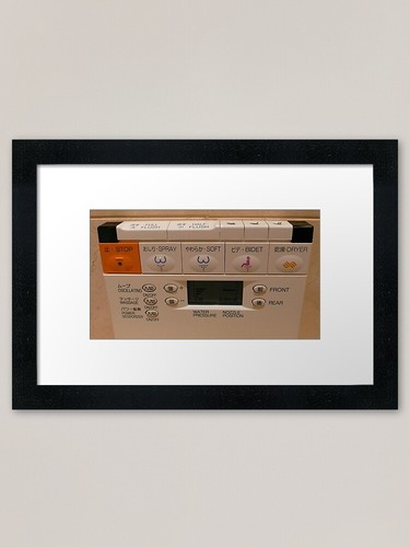 Japanese toilet framed art - toilet,