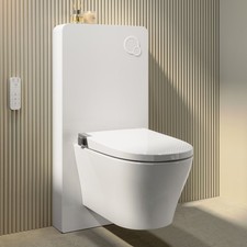 Wall Hung Smart Bidet Japanese