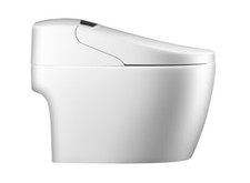 Washloo Evolution Smart Toilet